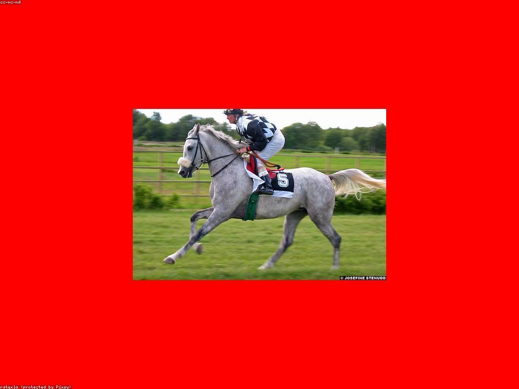 ការយល់ដឹងអំពីការប្រកួតស្គាល់