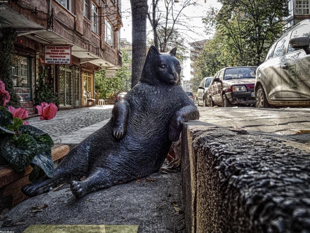 ព័ត៌មានអំពីស្លុត: ការពិតៗដែលអ្នកគួរតែ​បាន​ចេះ