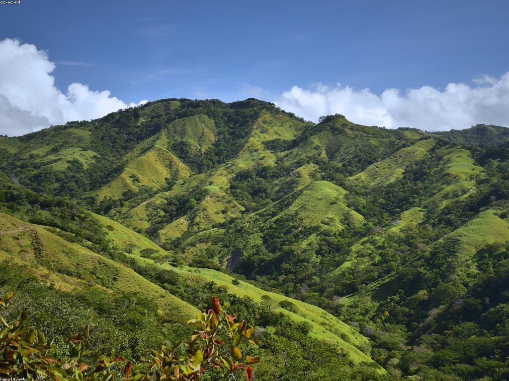 ព័ត៌មានអំពីស្លុត